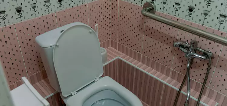 Meeting Diverse Needs With Accessible Restroom Solutions in Maricopa, AZ